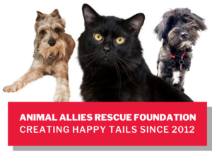 Animal Allies Rescue Foundation