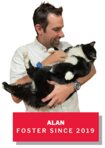 Alan, foster since 2019