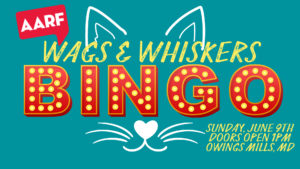 AARF’s 6th Annual Wags & Whiskers Bingo